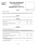 South Dakota Articles of Incorporation Domestic Business Corporation